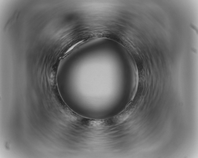 X0000093490139200710261124