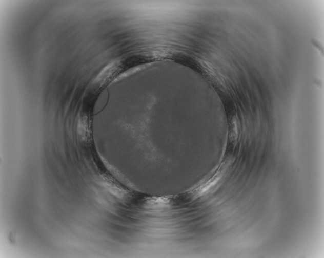 X0000093490140200710261124