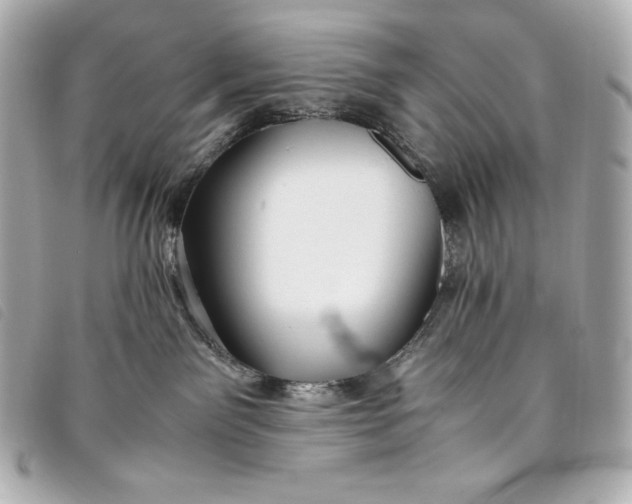 X0000093490141200710261124