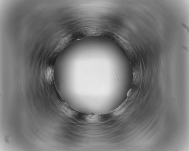 X0000093490142200710261124