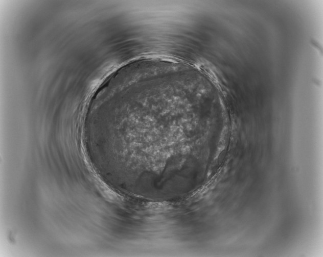 X0000093490145200710261123