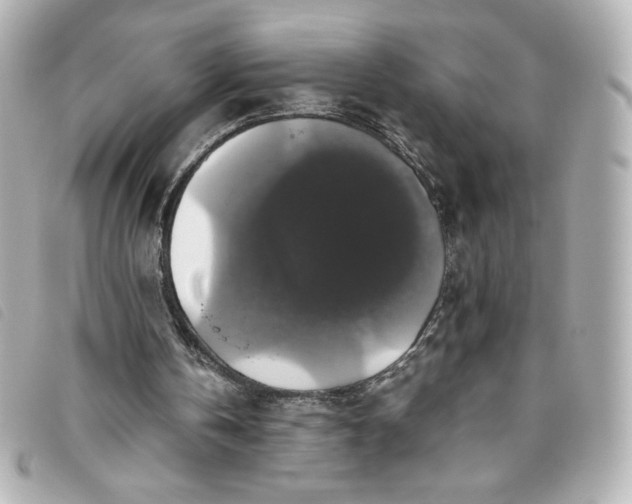 X0000093490146200710261123