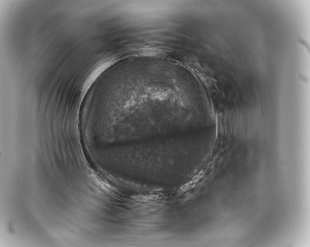 X0000093490147200710261123