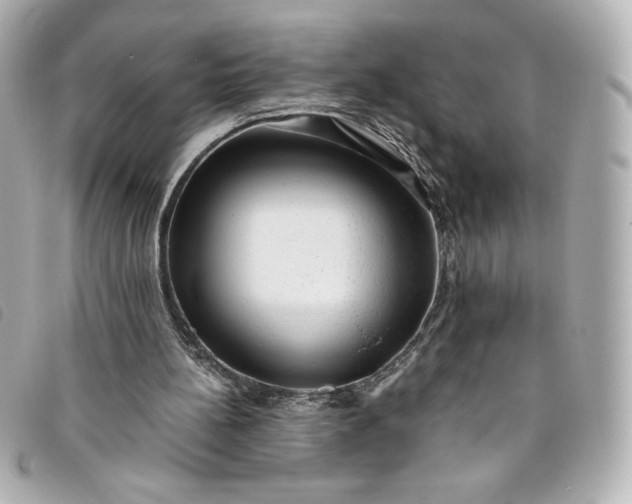 X0000093490148200710261123