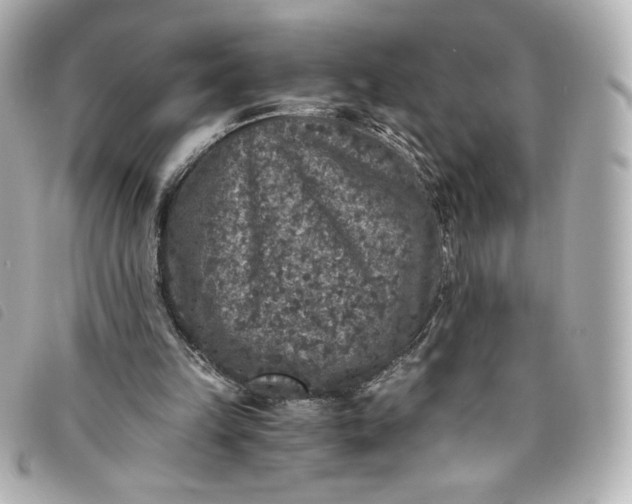 X0000093490149200710261123