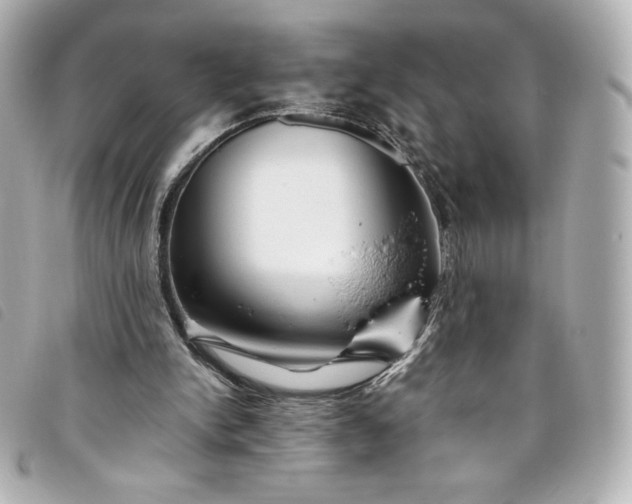 X0000093490150200710261123