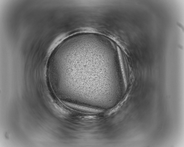 X0000093490151200710261123