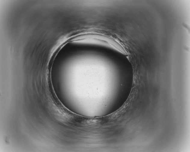 X0000093490152200710261123