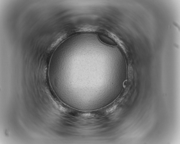 X0000093490153200710261123