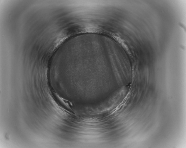 X0000093490154200710261123