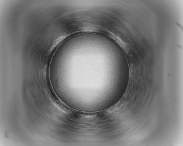 X0000093490155200710261123