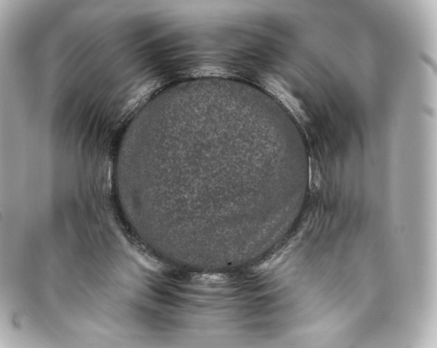 X0000093490157200710261123