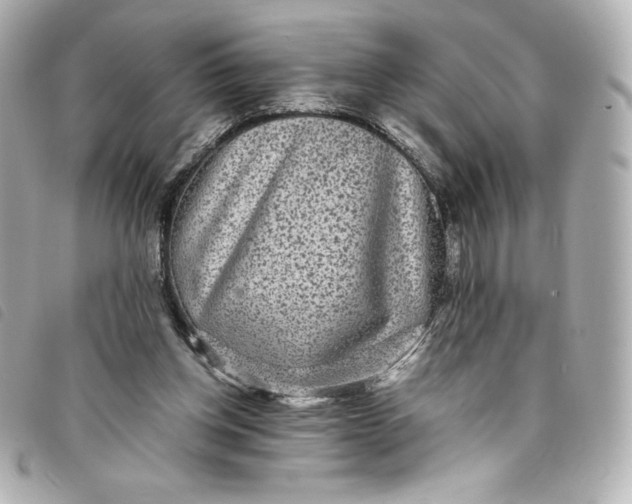 X0000093490158200710261124