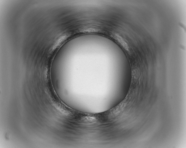 X0000093490159200710261124