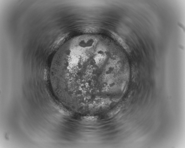 X0000093490161200710261124