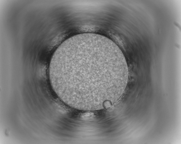 X0000093490162200710261124