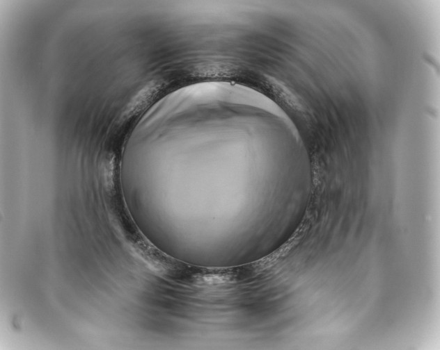 X0000093490163200710261124