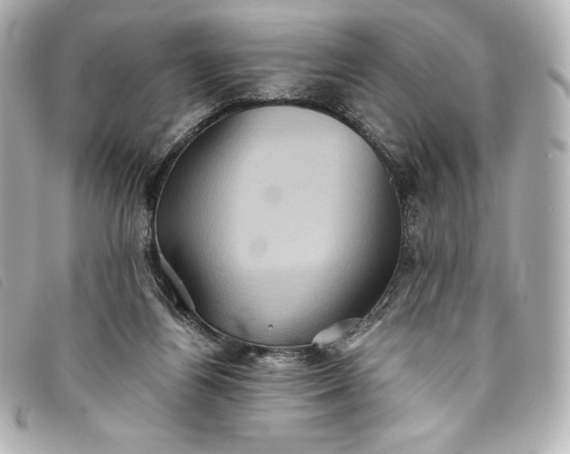 X0000093490164200710261124