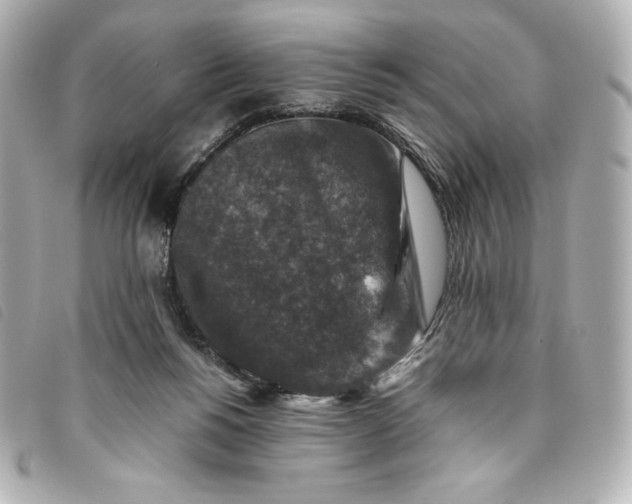 X0000093490168200710261124