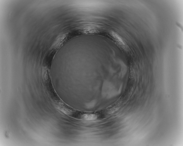 X0000093490169200710261124