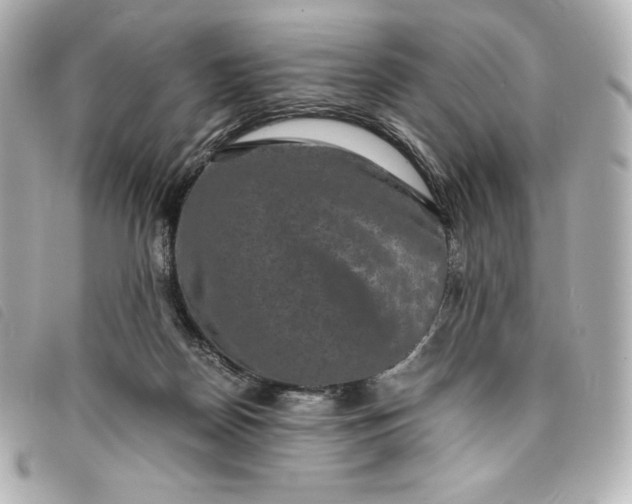 X0000093490170200710261124