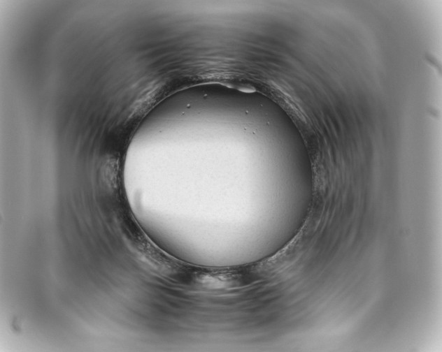 X0000093490171200710261124