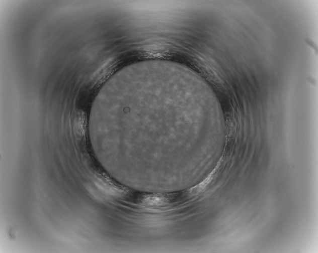 X0000093490174200710261124