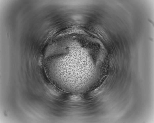 X0000093490175200710261124