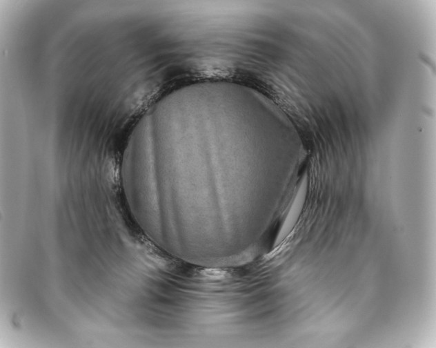 X0000093490176200710261124