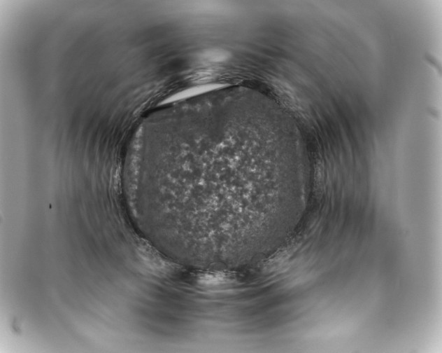 X0000093490177200710261124