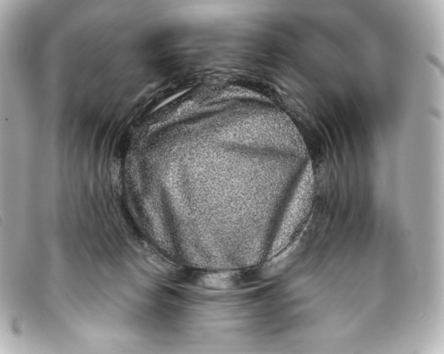 X0000093490178200710261124