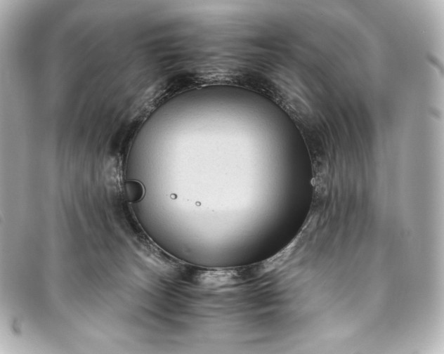 X0000093490179200710261124