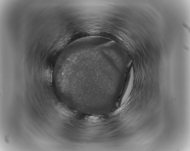 X0000093490180200710261124