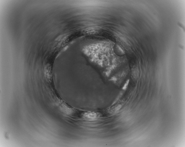 X0000093490181200710261124