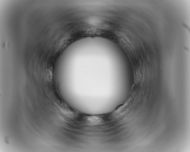 X0000093490183200710261124