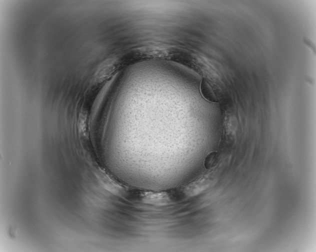 X0000093490185200710261124