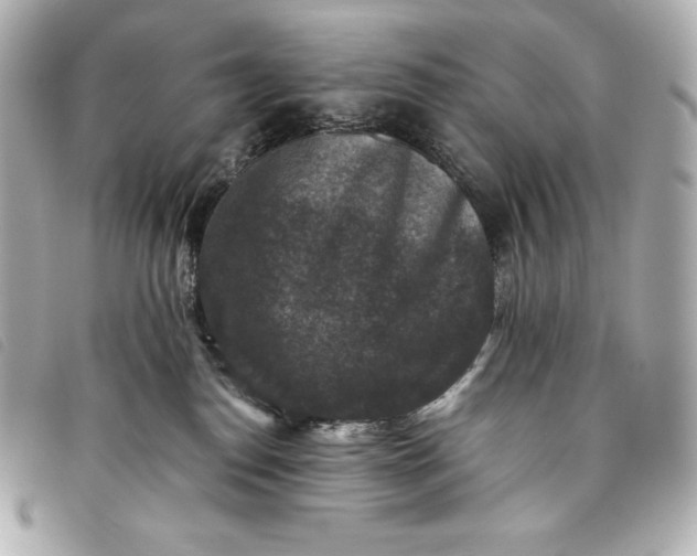 X0000093490186200710261124