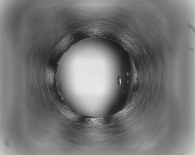 X0000093490188200710261124