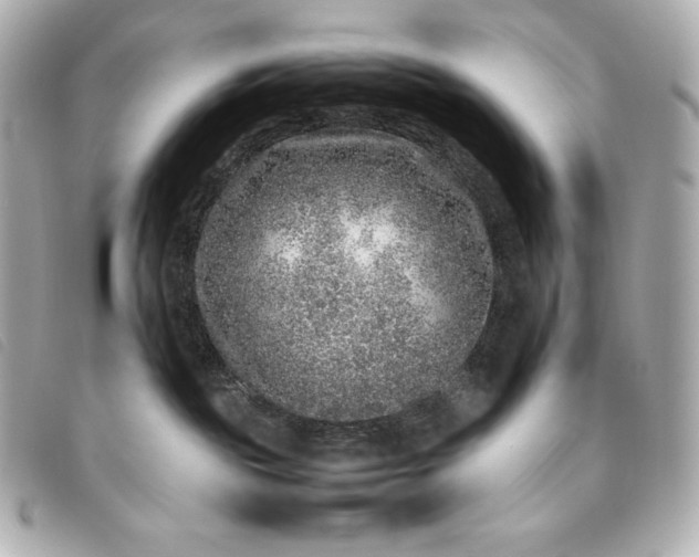 X0000093490189200710261124