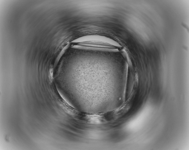 X0000093490190200710261124