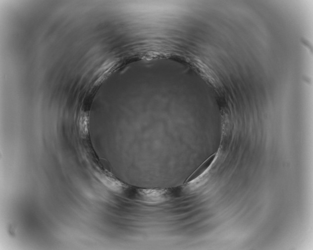 X0000093490191200710261124