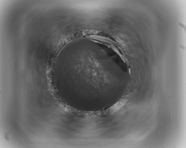 X0000093490192200710261124