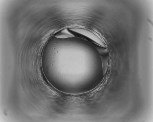 X0000093490193200710261123