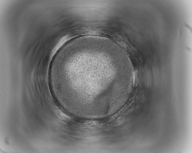 X0000093490195200710261123