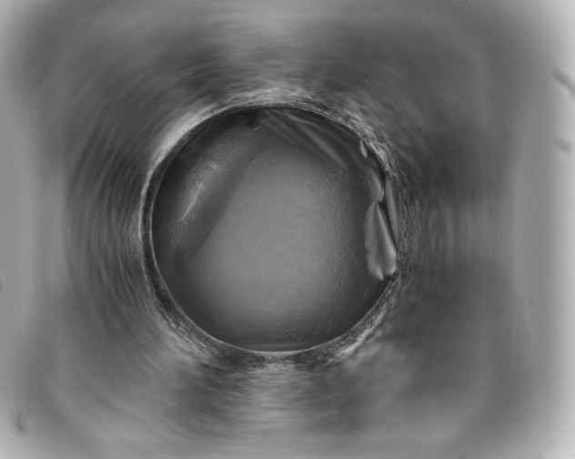 X0000093490196200710261123