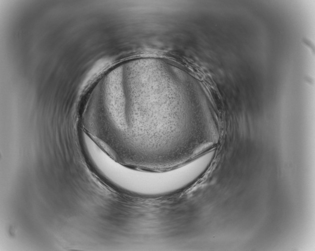 X0000093490197200710261123