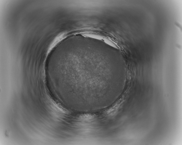 X0000093490198200710261123