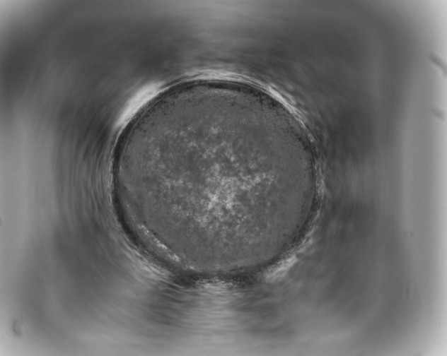 X0000093490199200710261123