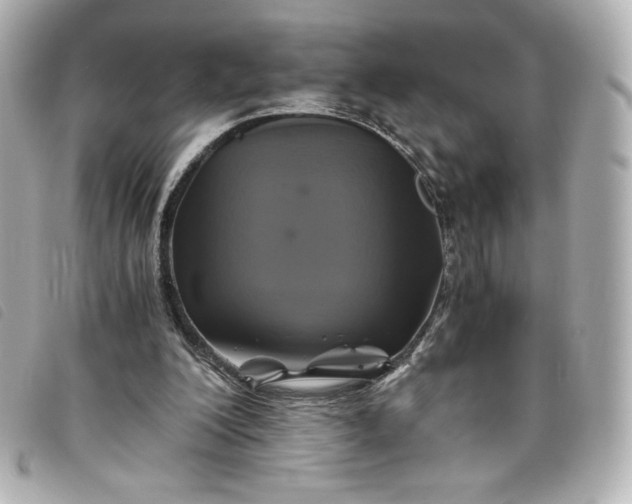 X0000093490200200710261123