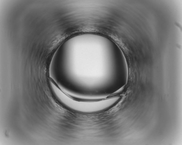 X0000093490201200710261123